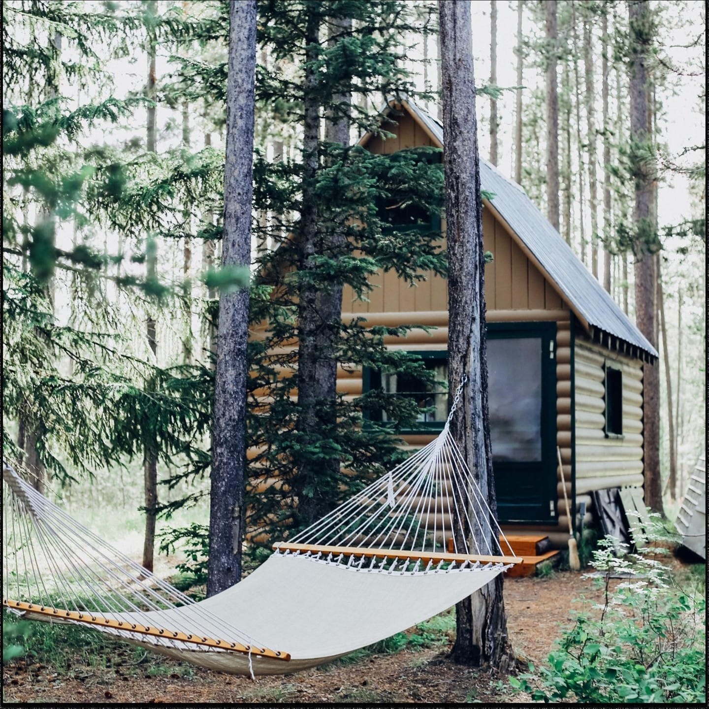 mid-term rental property management companies in Hamilton