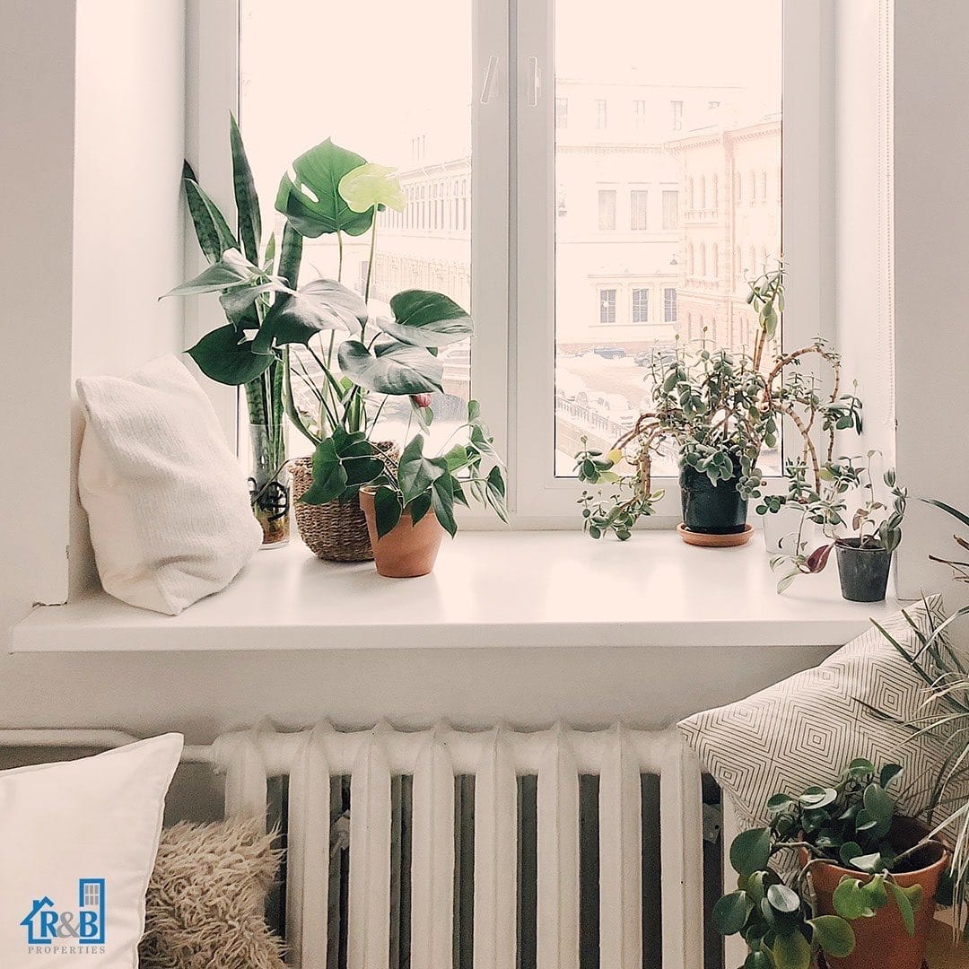 rental property management companies in Hamilton